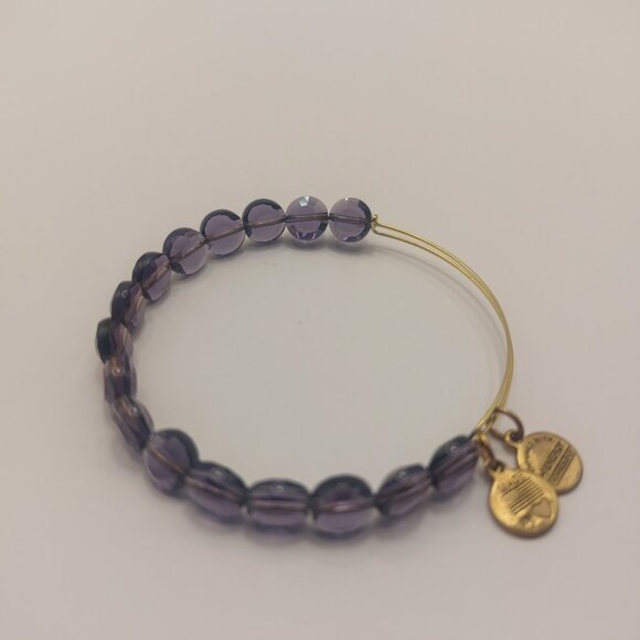 ALEX AND ANI Amethyst Luxe Bracelet Beaded Faceted Bangle Gold Electroplate EUC - Picture 13 of 14